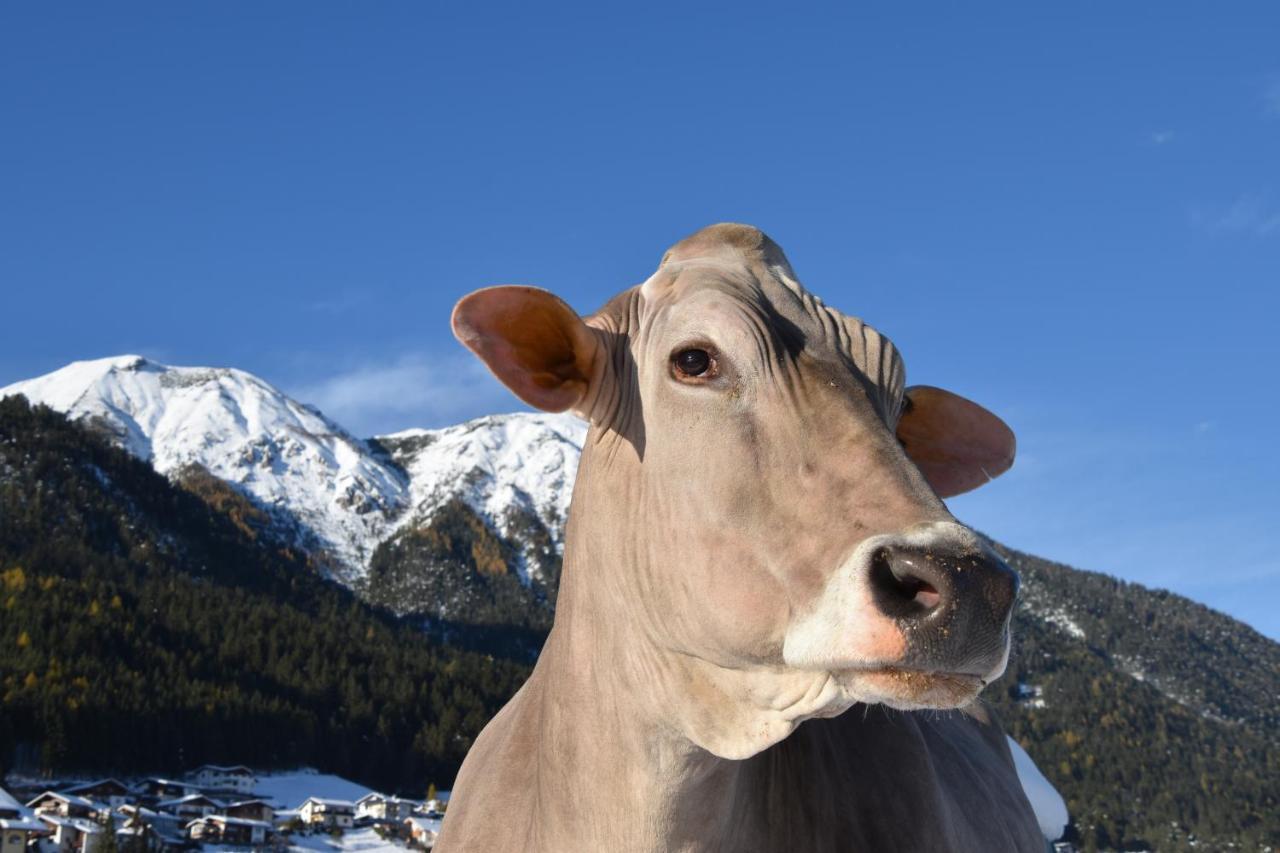 Schottenhof Fulpmes Kültér fotó